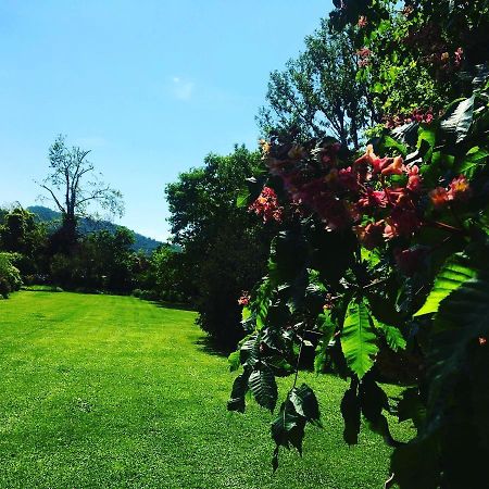 La Valle B&B Brescia Bagian luar foto