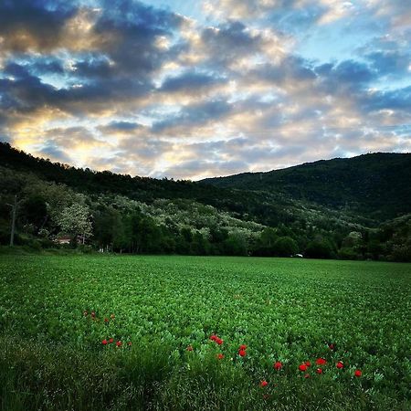 La Valle B&B Brescia Bagian luar foto