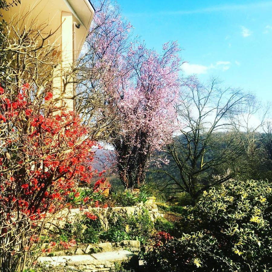 La Valle B&B Brescia Bagian luar foto