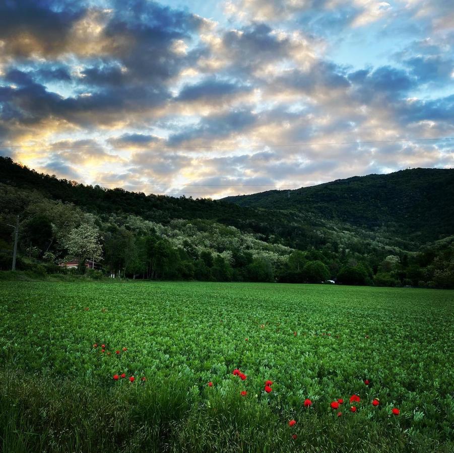 La Valle B&B Brescia Bagian luar foto